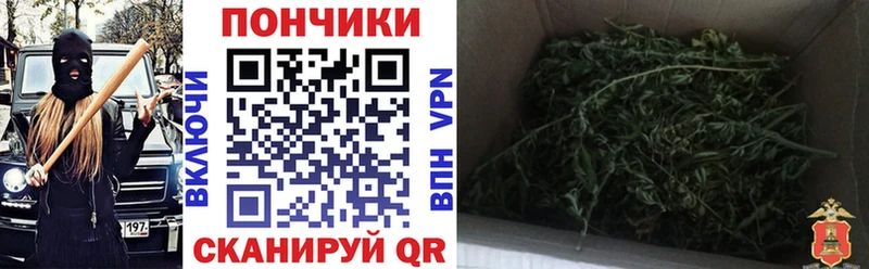 Бошки марихуана гибрид  mega ТОР  Монино  наркотики 
